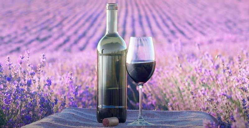 what-wines-to-try-in-croatia-vugava-vino