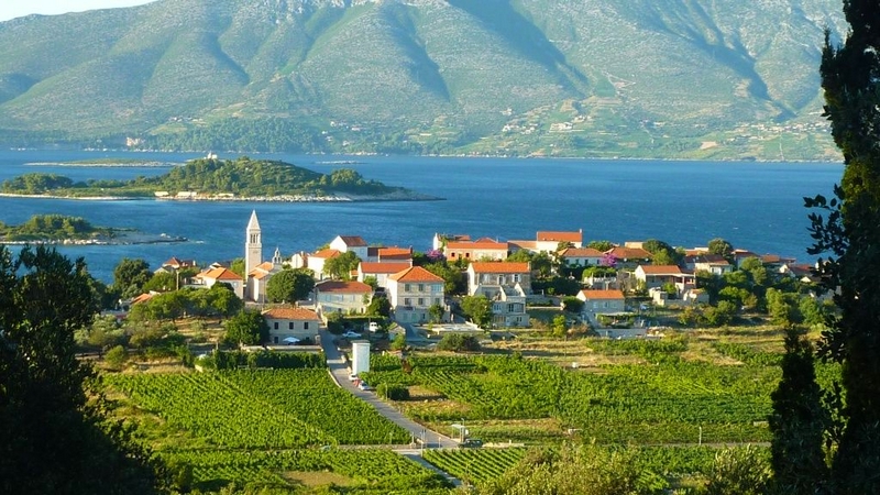 Lumbarda - Korčula wines