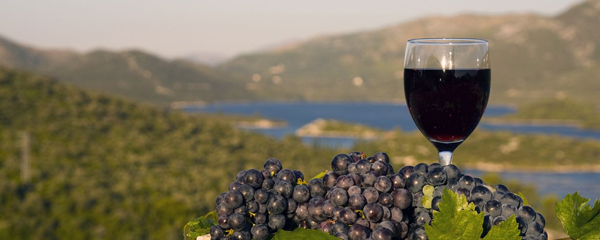 wine-tour-dalmatia