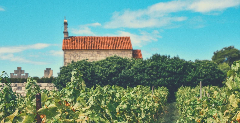 Grk - Korčula wines