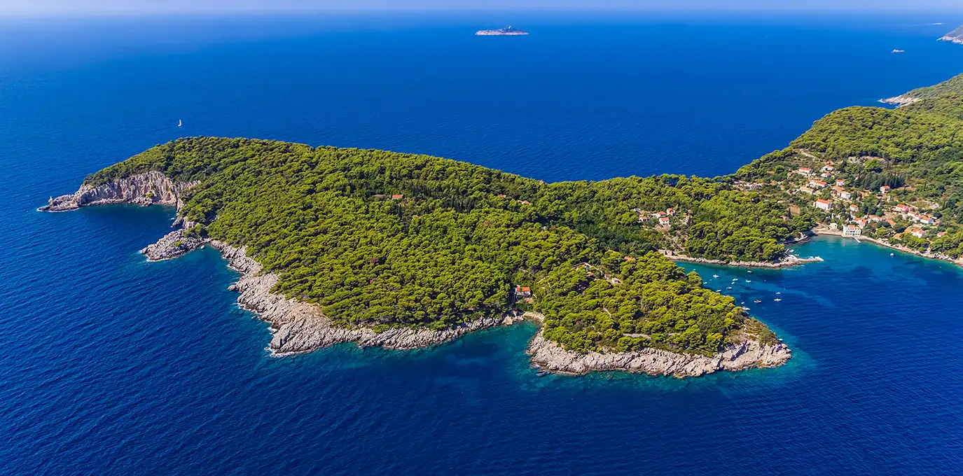 Kolocep