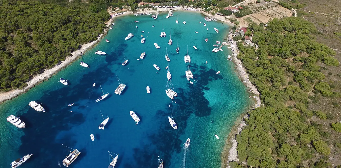Palmizana