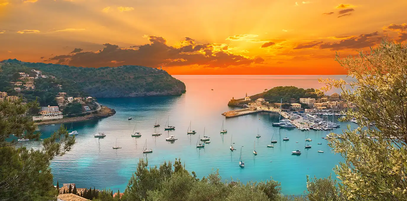 Soller